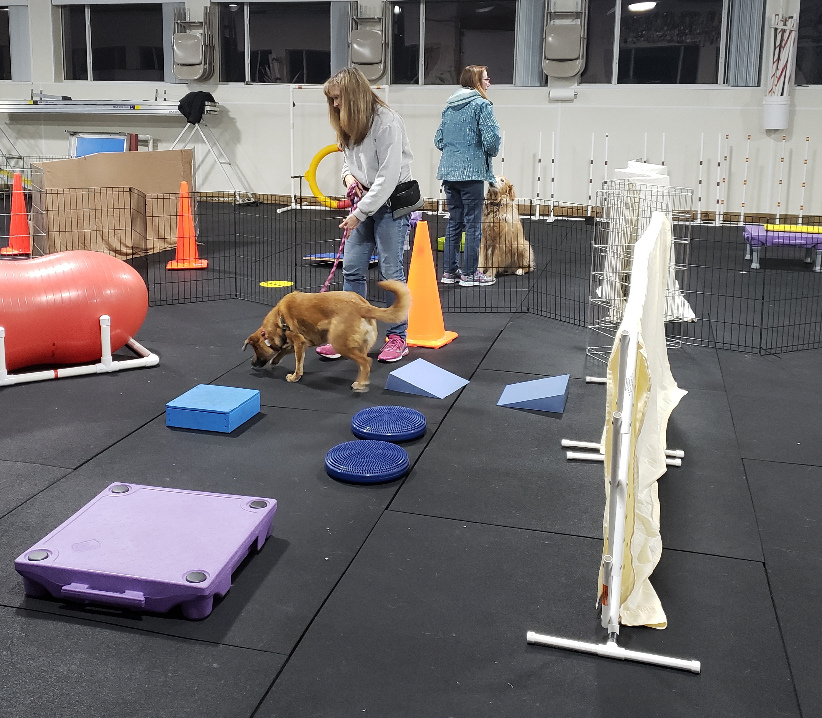 Confidence and K9 Core Class